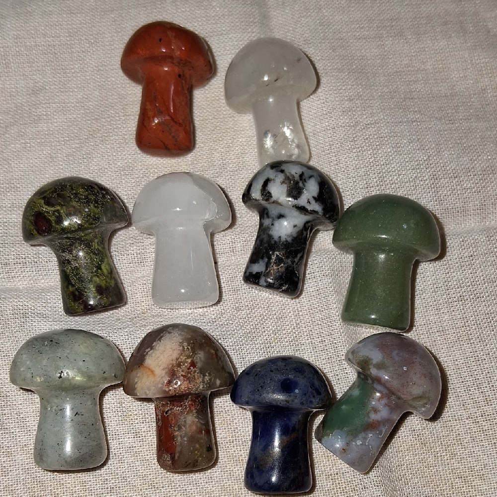 MM7 Assorted Stone Mushroom Figurines - Set of 10